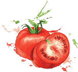 发卡平台直营的网络电话免费30分钟